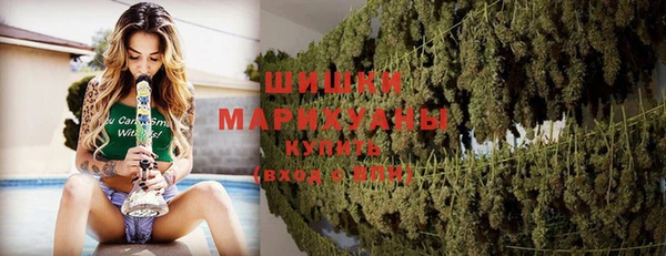 винт Снежинск