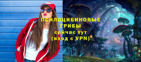 гашик Верхний Тагил