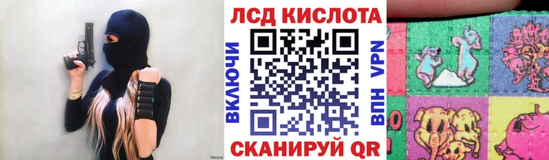 продажа наркотиков  Талдом  Наркотические марки 1500мкг 