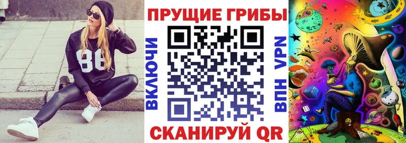 купить наркоту Талдом darknet какой сайт Галлюциногенные грибы мицелий